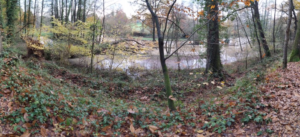 Inondation partielle créée par la chute d'un arbre