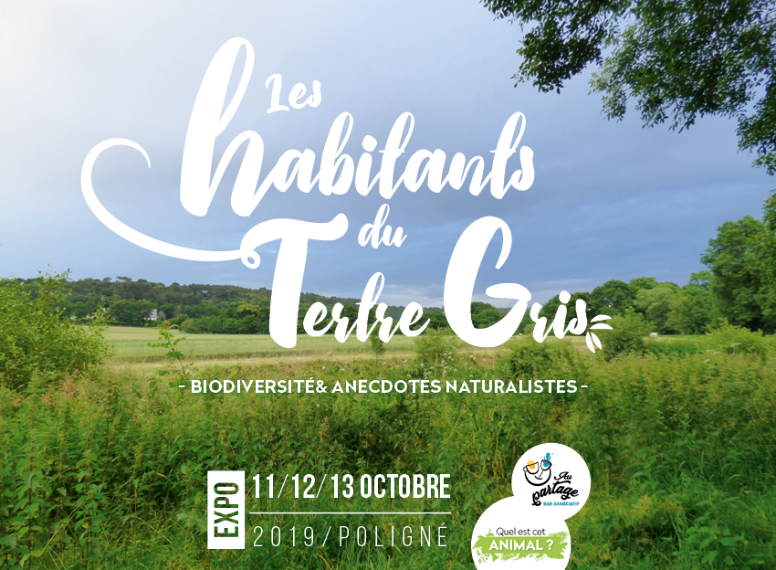 Exposition sur la biodiversité de Poligné – Octobre 2019