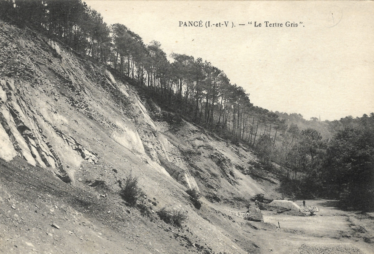 La résilience de la nature à travers la Carrière du Tertre Gris